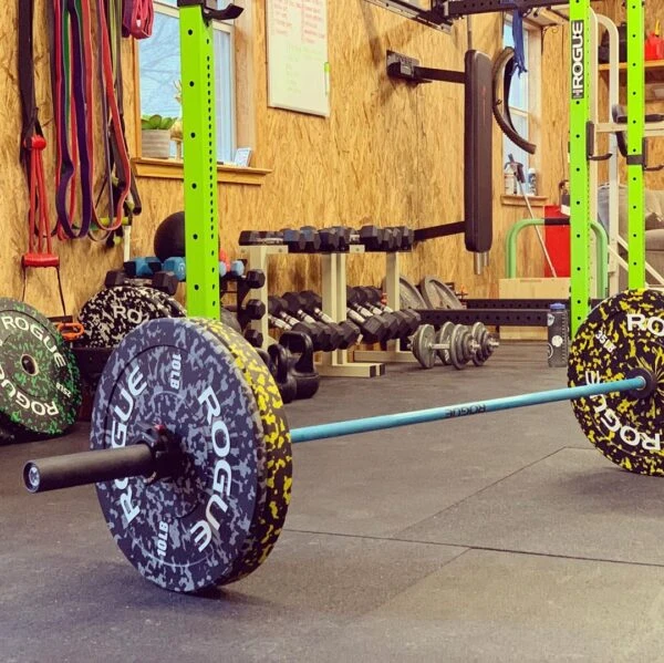 Front Page -Fitbit Sales Store 058d6f2fbe951a5a56d96b1f1a6bca1c 5e1ccb3398dcd 600x599 1