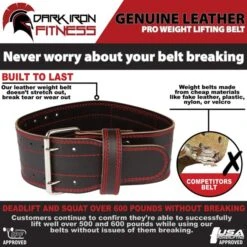 Dark Iron Fitness Power Belt -Fitbit Sales Store 0efe32849d230d7f53049ddc4a4b0c60 5d0a74e9e264f 600x600 1