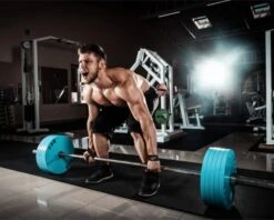 Anvil Fitness Lifting Straps -Fitbit Sales Store 6be93f7a96fed60c477d30ae1de032fd 5d0a75790cd07 600x482 1