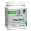 Sunwarrior Creatine Monohydrate -Fitbit Sales Store Sunwarrior Creatine