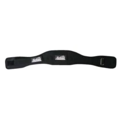 Schiek 2004 Lifting Belt -Fitbit Sales Store fe8c15fed5f808006ce95eddb7366e35 5d0a74e70a42e 600x600 1