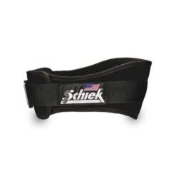 Schiek 2004 Lifting Belt -Fitbit Sales Store fe8c15fed5f808006ce95eddb7366e35 5d0a74e715158 600x600 1