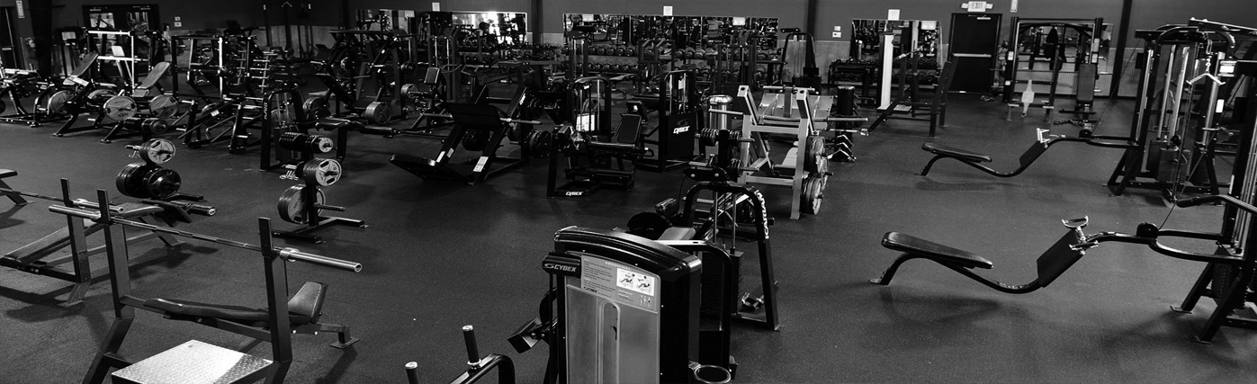 Front Page -Fitbit Sales Store banner604